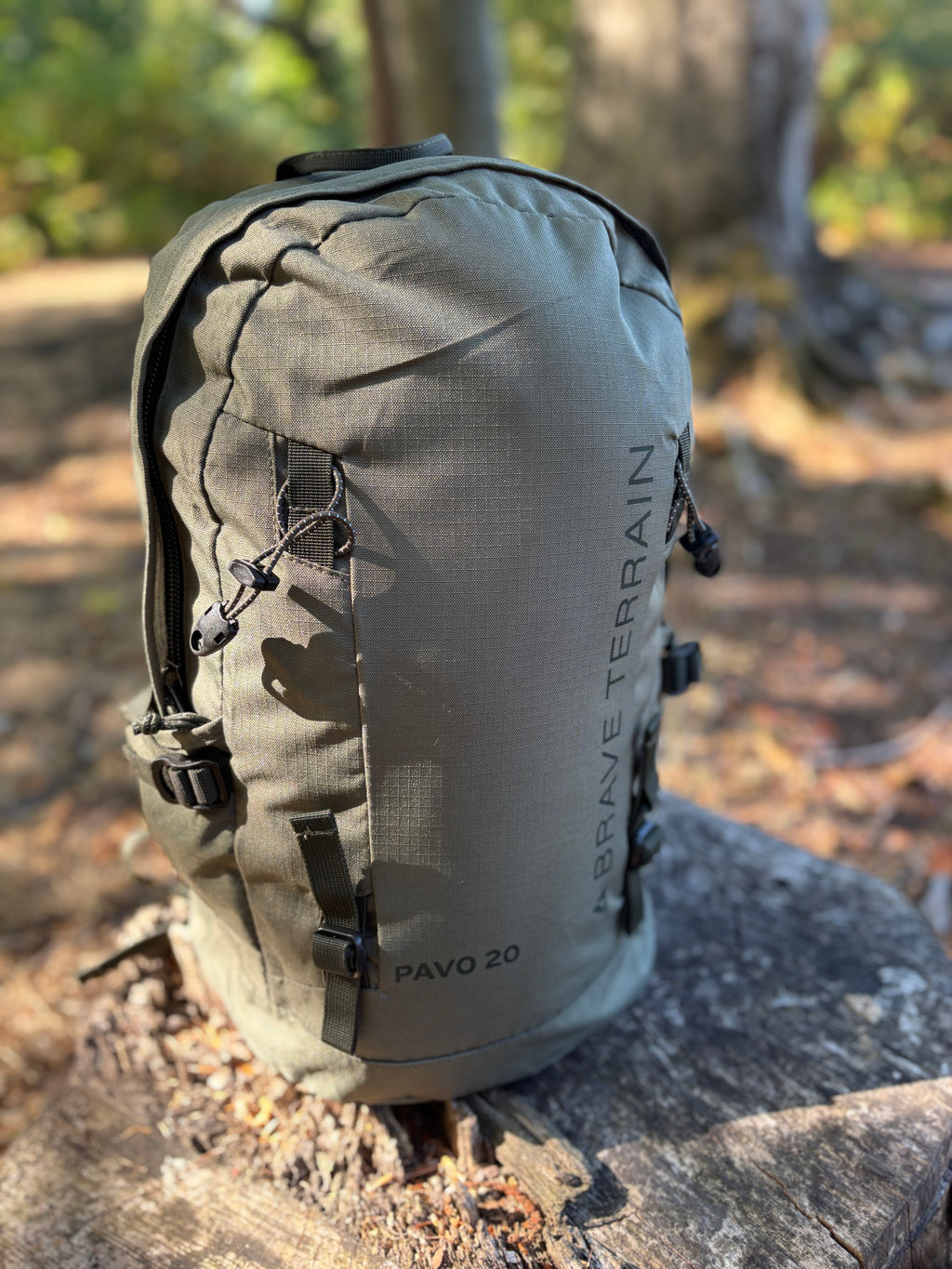 Pavo 20L Backpack