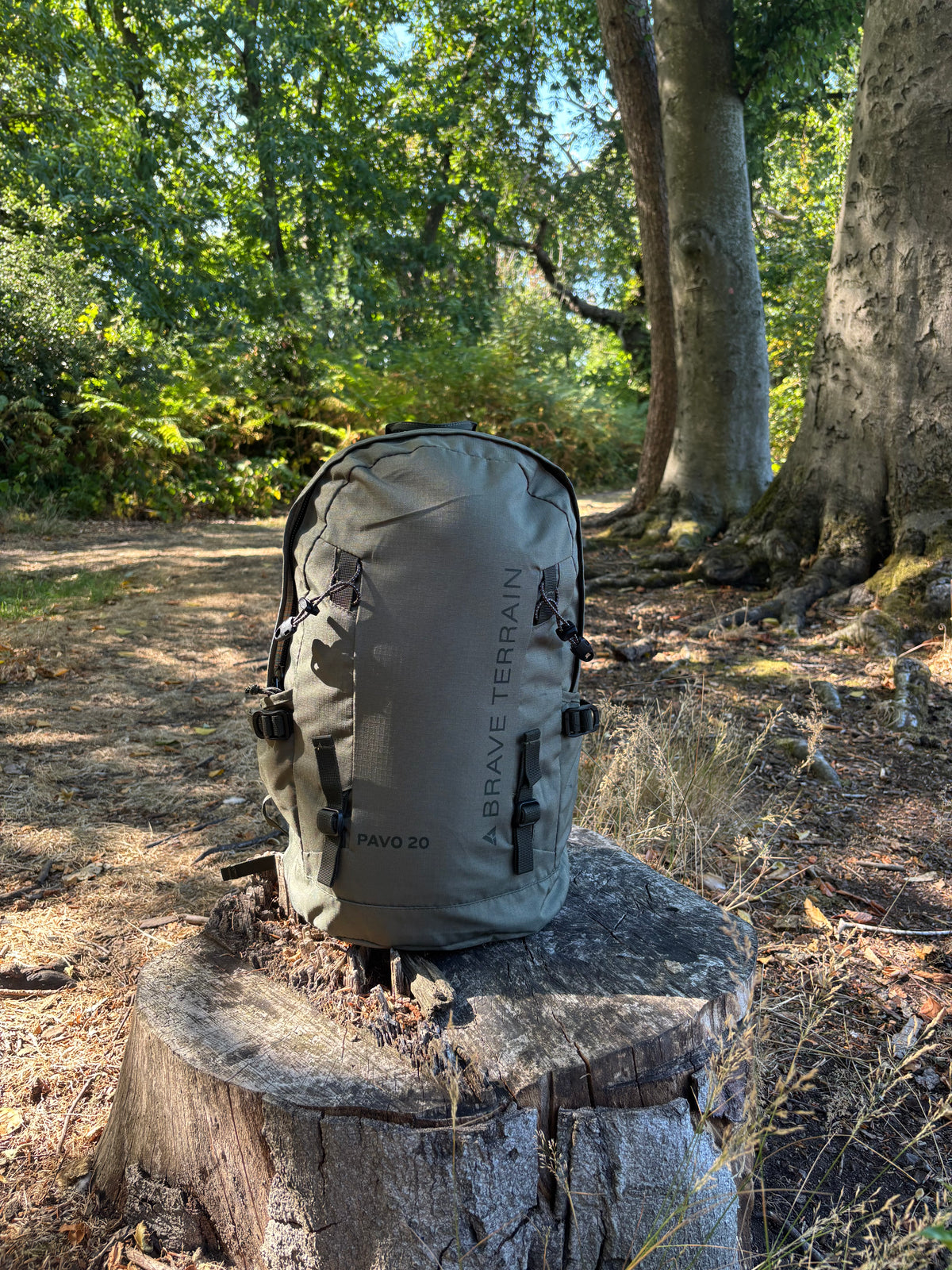 Pavo 20L Backpack