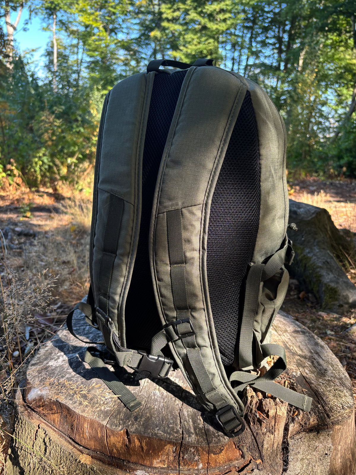 Pavo 20L Backpack