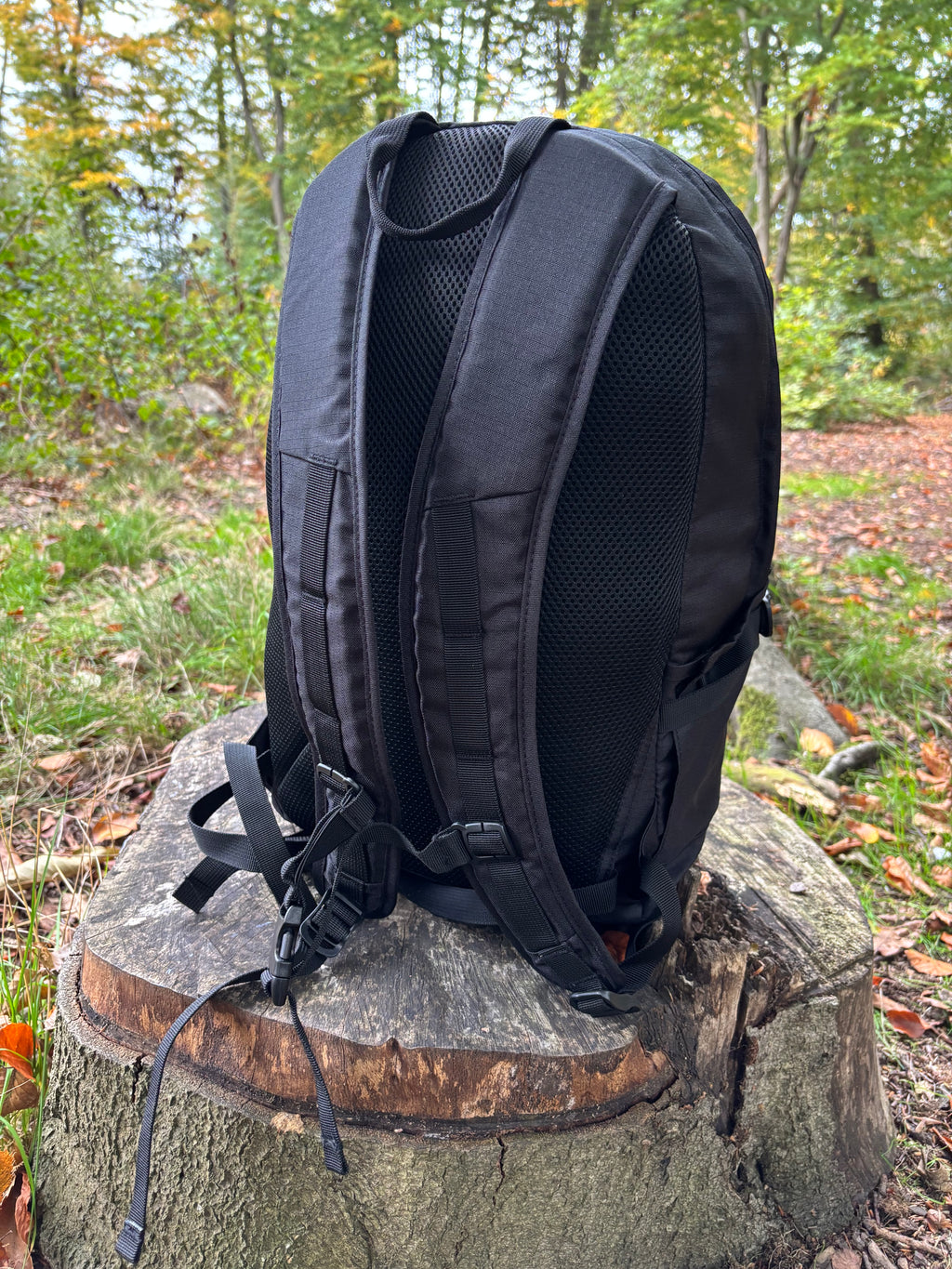PAVO 20L BACKPACK