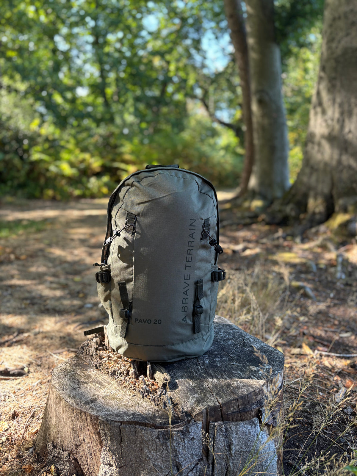 Pavo 20L Backpack